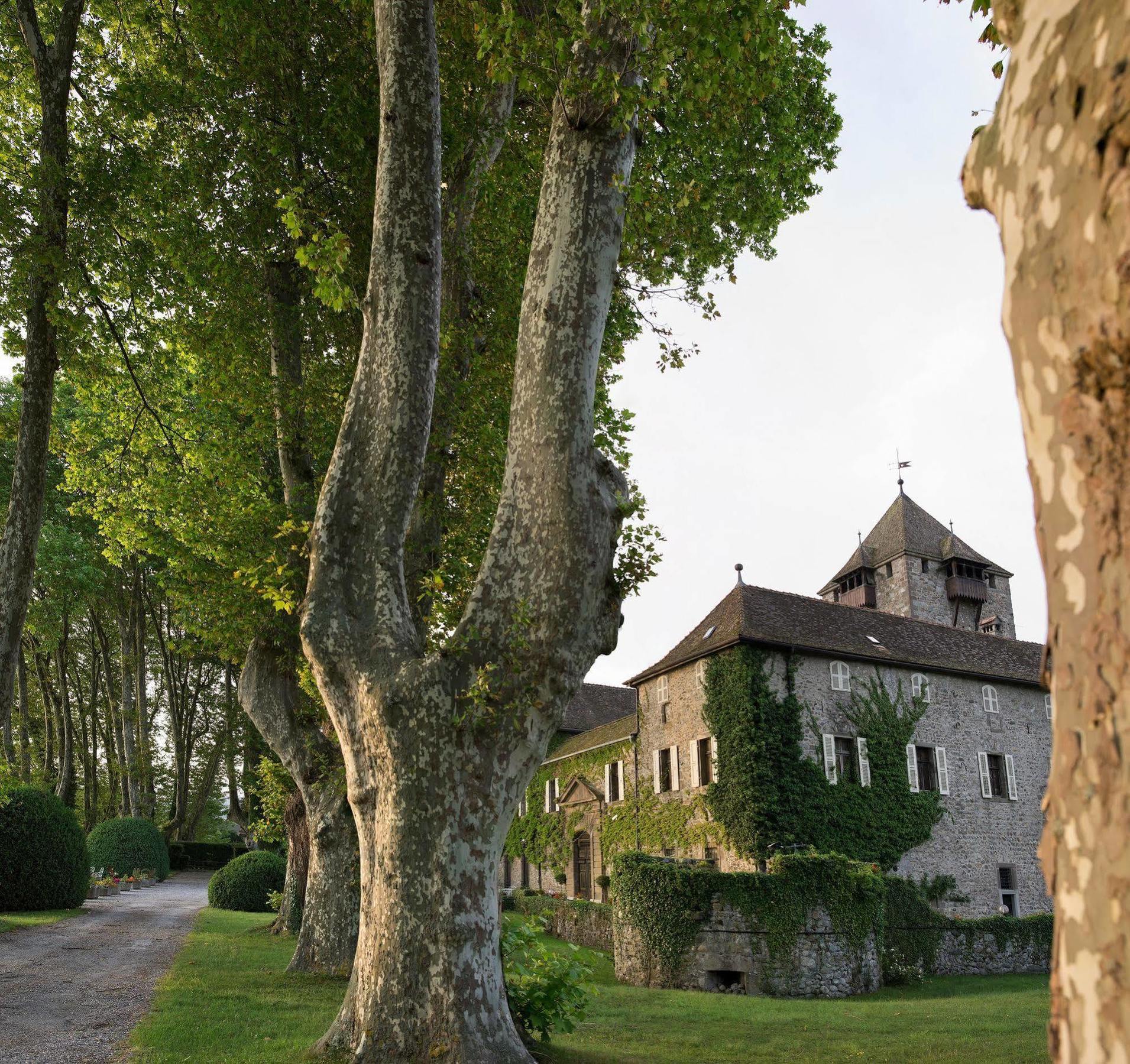 Chateau De Coudree - Les Collectionneurs Sciez Exteriör bild
